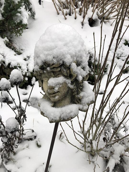 Die schönsten Winterfotos aus Bamberg und Umgebung