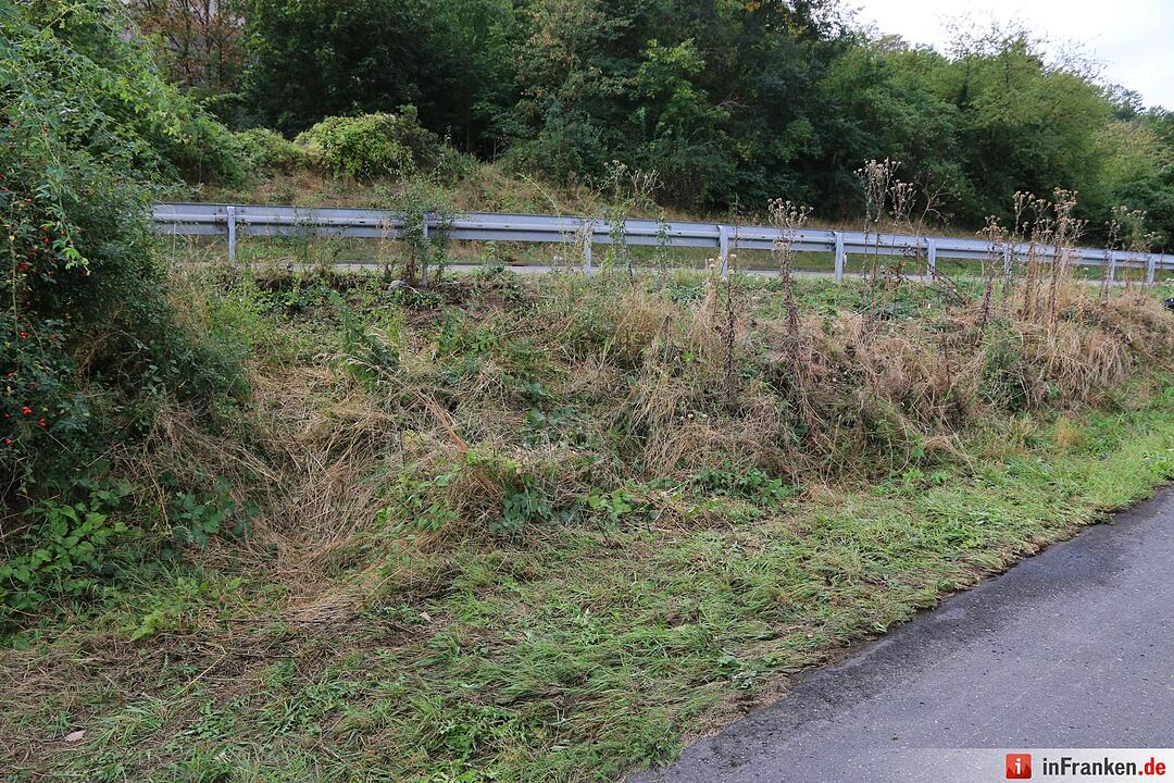 Drei Leichen unter Brücke bei Marktbreit