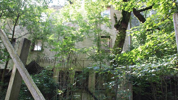 "Gasthof zum Reh...": Selbst der Schriftzug auf der Ruine wird Jahr für Jahr weniger. Foto: Matthias Beetz