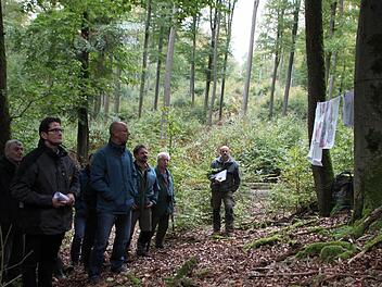 Wie steht es um die heimischen Wälder? Bei einer Exkursion Anfang Oktober machten sich die Teilnehmer ein Bild vor Ort. Foto: Ulrike Müller