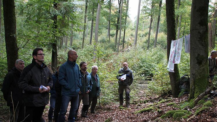 Wie steht es um die heimischen Wälder? Bei einer Exkursion Anfang Oktober machten sich die Teilnehmer ein Bild vor Ort. Foto: Ulrike Müller