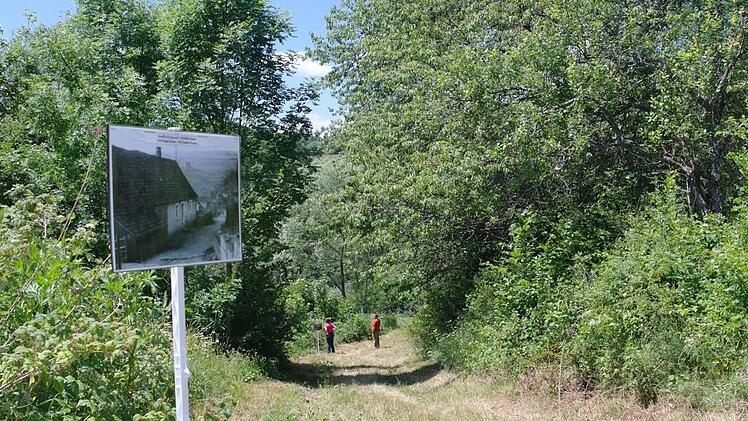 Mancher flanierte einfach gerne auf alten Werberger Wegen. Foto: Steffi Elm