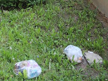 Wilde Müllentsorgung nahe der Münnerstädter Entlastungsstraße. Foto: Heike Beudert