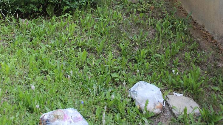 Wilde Müllentsorgung nahe der Münnerstädter Entlastungsstraße. Foto: Heike Beudert