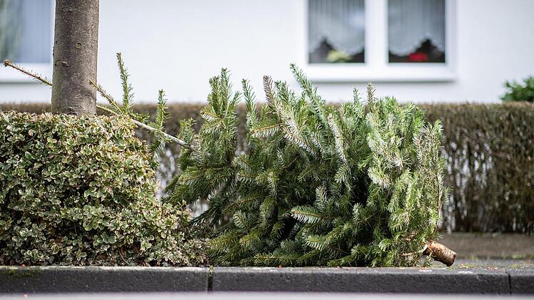 Damit alte Weihnachtsbäume nicht wie im Foto einfach auf der Straße landen, haben wir für sie herausgefunden, wo und wie Sie ihren Christbaum entsorgen können. Symbolbild: Marcel Kusch/dpa/dpa-Bildfunk