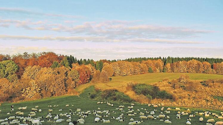 Dies ist eines der zwölf Bilder, die im Kalender "Rhön-Ansichten 2020" von Karin Anne Schöbel erschienen sind. Es zeigt die Weißbacher Hut.  Foto: Karin Anne Schöbel