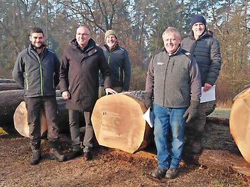 Bei der Submission am Wertholzplatz in Sailershausen von links: Sebastian Betz (AELF Abteilungsleiter), B&uuml;rgermeister Andreas Sandwall (Bad Bocklet), Michael Sautter (AELF), Roland Warmuth (FBG fr&auml;nkische Rh&ouml;n und Grabfeld), J&ouml;rg M&auml;ckler (FBG Fr&auml;n...