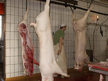 Metzgermeister Lukas Eisfelder beim schweißtreibenden Ausschlachten des Schweines.