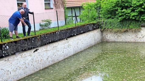 Ortsreferent Klaus Schebler (vorne) zeigt Bürgermeister Helmut Blank die Problemstellen am Windheimer Löschweiher. Foto: Heike Beudert