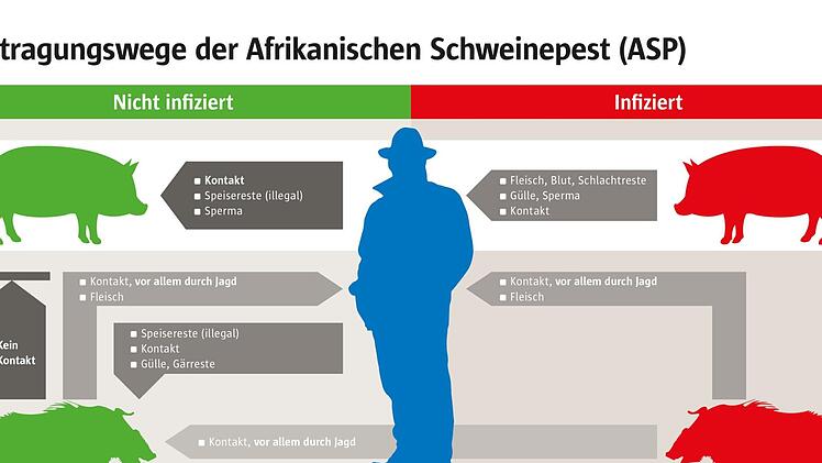 Bei Züchtern geht die Furch vor der Afrikanischen Schweinepest um. Foto: Animal Rights Watch