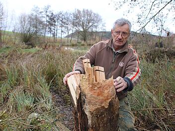 Bilder von der Teichanlage des ASV Hammelburg oberhalb von Obereschenbach. Foto: Ralf Ruppert