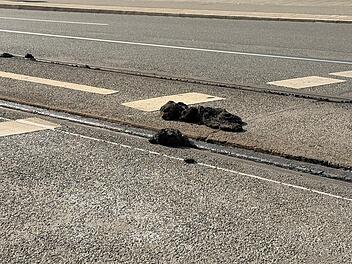 Nach Hitzesch&auml;den: Erste Stra&szlig;enbahnstrecke wieder in Betrieb