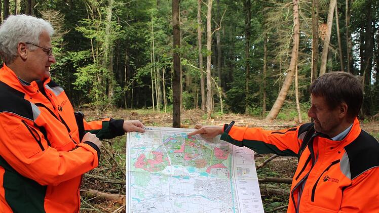 Matthias Breuer (l.) und Stephan Keilholz (r.) zeigen das Gebiet im Forstrevier, auf dem die Flatterulmen sich wohlfühlen.