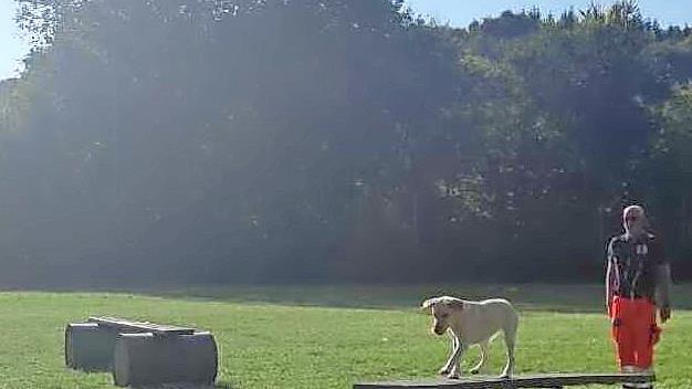 Bei der Pr&uuml;fung der Rettungshunde ging es unter anderem &uuml;ber eine Wippe.