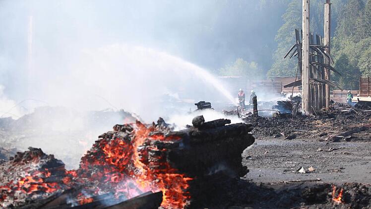 Foto: News5/Fricke