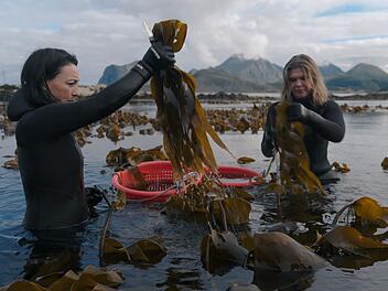 Auf den Lofoten ernten Angelita Erikson (links) und Tamara Singer verschiedenste essbare Algen, die hier wachsen, ganz ohne Pestizide oder D&uuml;nger.