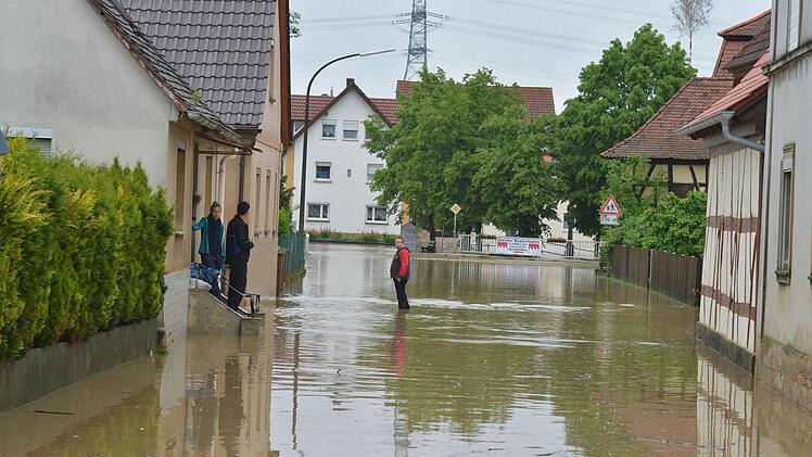 Wiesengiech. Foto:Ronald Rinklef