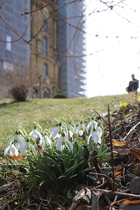 Vierzehnheiligen; Foto: Barbara Herbst