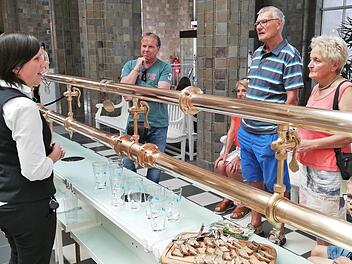 Sabine Schmidt, Gesundheitslotsin der Staatsbad GmbH, erklärt ihren Gästen Gisbert Jutz (links) sowie Gertrud und Dietmar Feist die Wirkung der Heilwasser  Fotos: Sigismund von Dobschütz