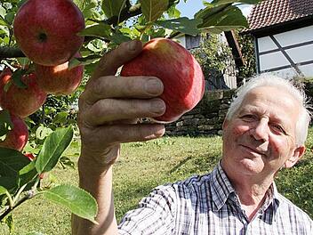Da lohnt sich  die Apfelernte:  70 Bäume stehen auf der Streuobstwiese hinter dem Haus von Hermann Hofmann in Wachholder.  Fotos: Jürgen Gärtner