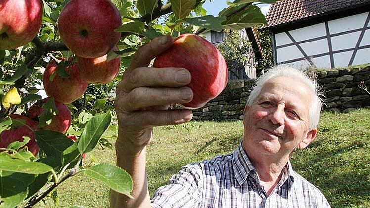 Da lohnt sich  die Apfelernte:  70 Bäume stehen auf der Streuobstwiese hinter dem Haus von Hermann Hofmann in Wachholder.  Fotos: Jürgen Gärtner
