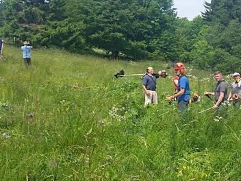 Erstmal in der Vereinsgeschichte des Rhönklubzweigverein Walddörfer wurde ein Lupinen-Mahd am Feuerberg durchgeführt.  Foto: Marion Eckert