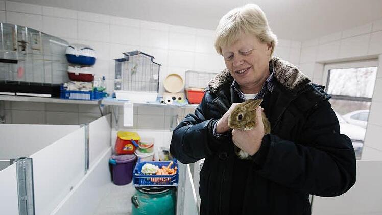 Vereinsvorsitzender Klaus Barnickel begutachtet ein Kaninchen, das sich im neuen Kleintierzimmer des Heims sichtbar wohl fühlt. Bis vor einigen Monaten war es in deutlich schlechterem Zustand.  Foto: Hendrik Steffens
