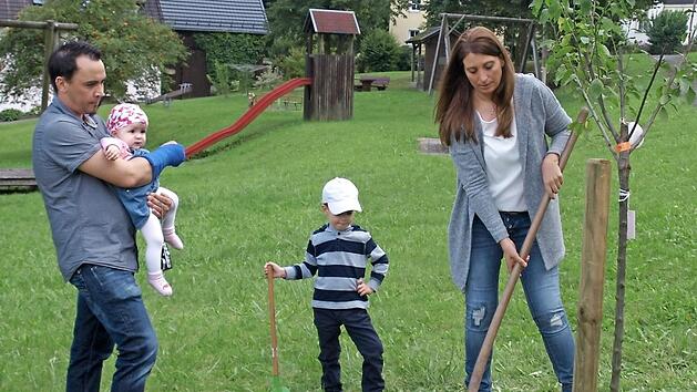 Familie Walter legt an "ihrem" Baum - Vater Stefan mit der kleinen Anna Sofia, Sohn Jona und Mutter Marion - letzte Hand an.  Foto: Susanne Deuerling