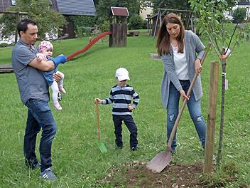 Familie Walter legt an "ihrem" Baum - Vater Stefan mit der kleinen Anna Sofia, Sohn Jona und Mutter Marion - letzte Hand an.  Foto: Susanne Deuerling