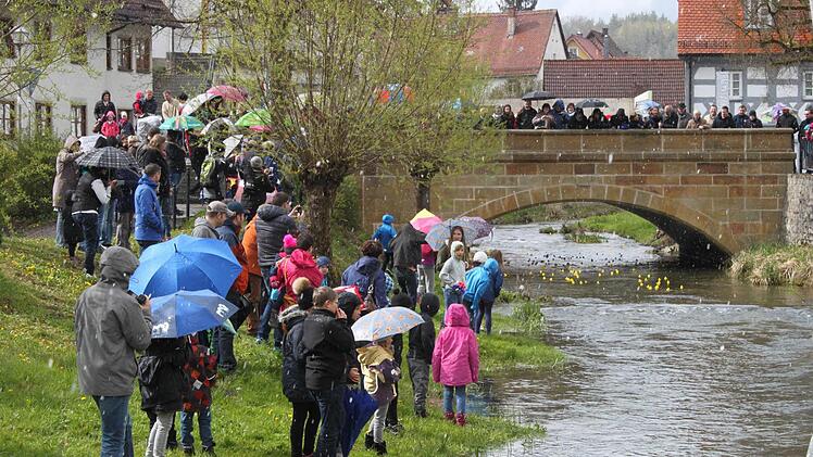 Die Rennenten sind gestartet Foto: Carmen Schwind