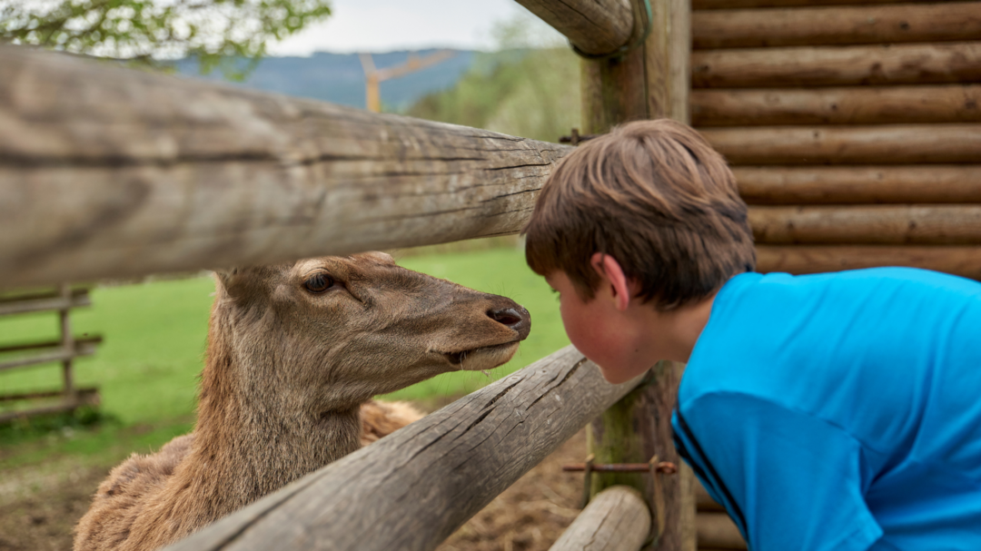 Tourismusverband Ostbayern e. V.: Plane deinen perfekten Familienurlaub im Bayerischen Wald