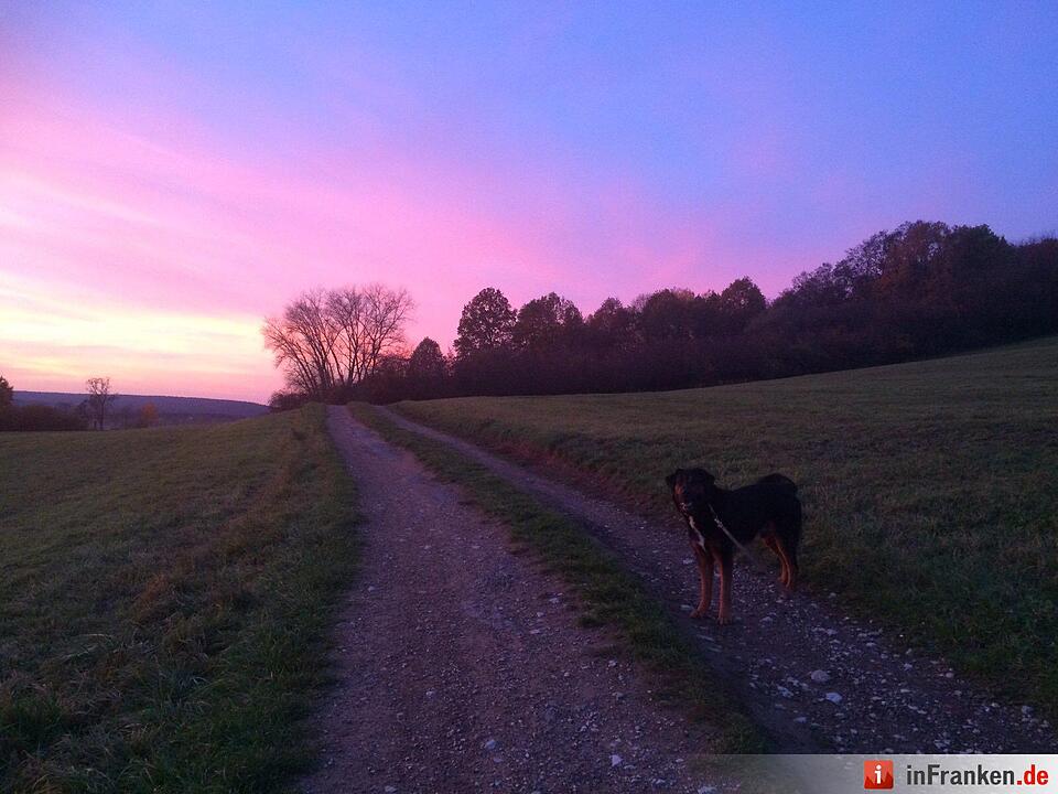 Abendrot vom 8.11.2015 - Die Bilder unserer Leser