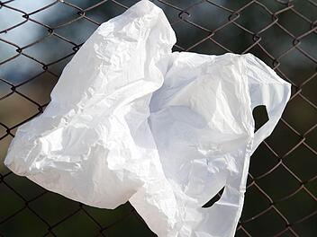 Foto: Patrick Pleul/dpa