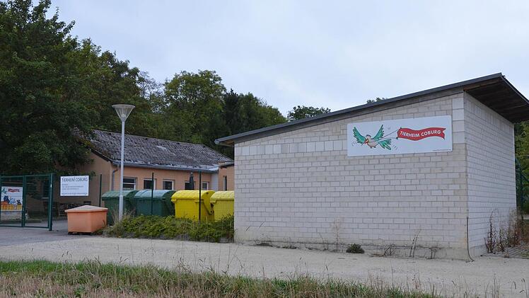 DAs Tierheim soll nicht noch einmal Opfer von Einbrechern werden. Jetzt wurde eine Alarmanlage eingebaut. Fotos: Rainer Lutz