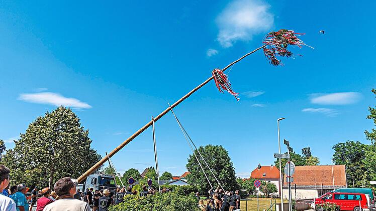 Der Kerwasbaum erreichte luftige H&ouml;hen.Frederike Rodewald