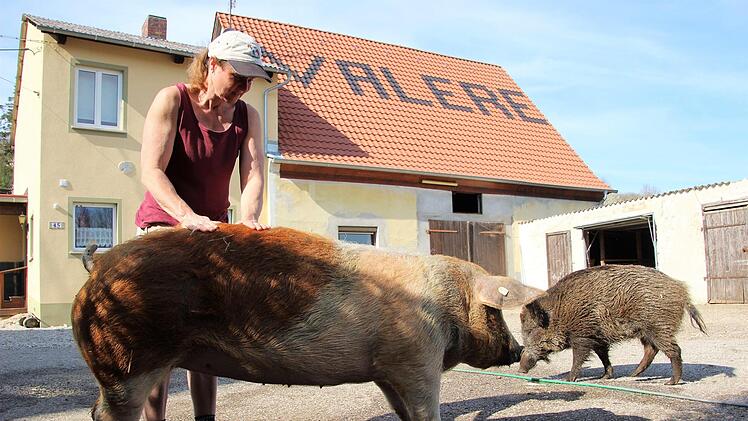 Auch Renate bekommt regelmäßig ihre Streicheleinheiten von Valeska Roos auf dem Mühlenhof.