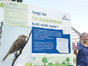 Susanne Wüst (Geschäftsführung Landschaftspflegeverband  Rhön-Grabfeld) erläutert die Besonderheiten der Grauammer. Foto: Marion Eckert
