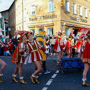 Fasching in Schweinfurt!