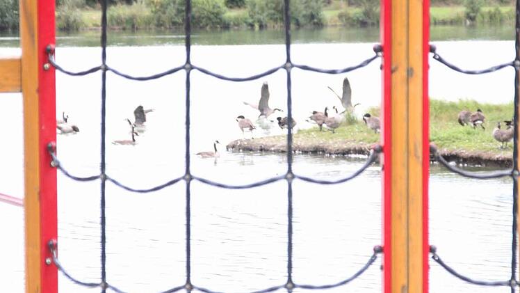 Auch die Sandgrube mit den Kinderspielgeräten bleibt von den Exkrementen der Vögel nicht verschont. Die Mitarbeiter des Bauhofs kümmern sich um die Reinigung des Areals.