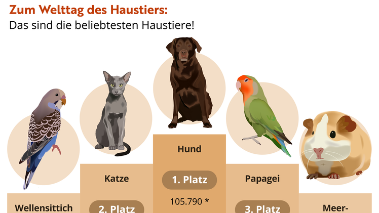 Die 5 beliebtesten Haustiere der Deutschen
