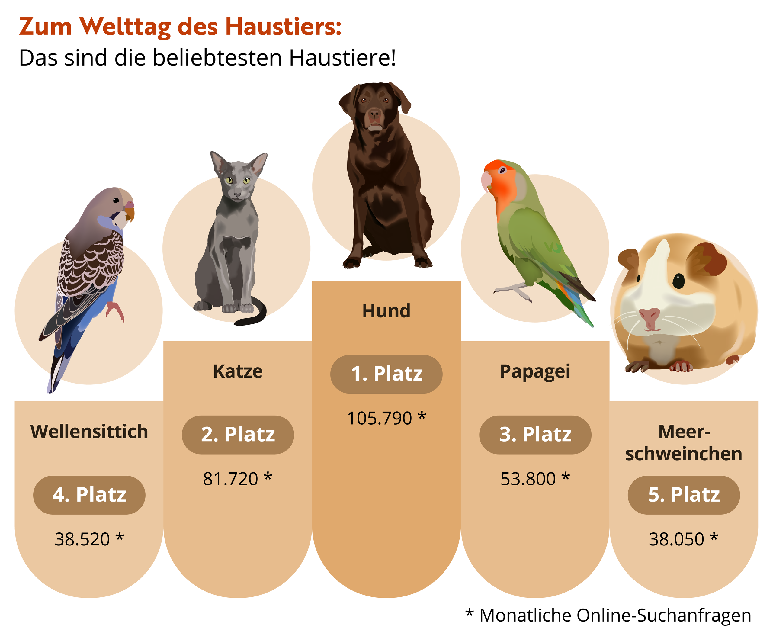 Die beliebtesten Haustiere in Deutschland: Platz 3 wird dich überraschen