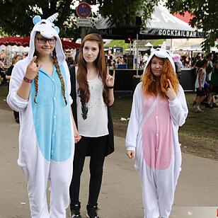 Rock im Park 2016 - Das Festivalgelände am Samstag