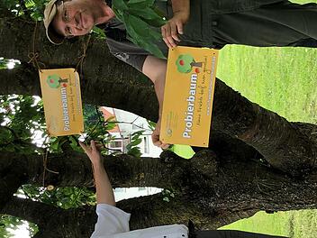 B&uuml;rgermeister Matthias Klement und Bauhofmitarbeiter Gunter Braun bringen die ersten Banderolen an.