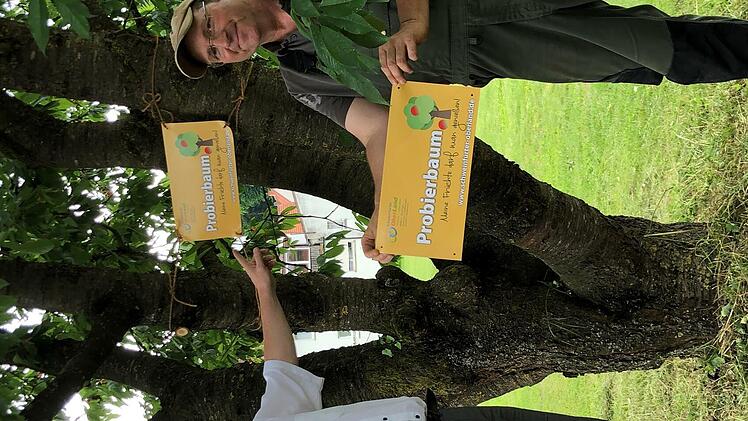 Bürgermeister Matthias Klement und Bauhofmitarbeiter Gunter Braun bringen die ersten Banderolen an.