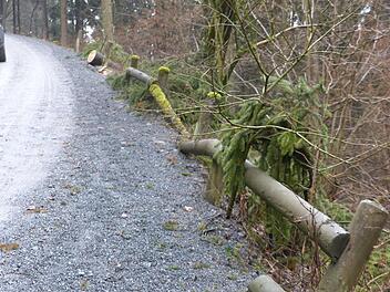 Am Weg von Seibelsdorf hinauf nach Mittelberg zur Radspitze sind mehrere seitliche Absicherungen aus Holz beschädigt, weggebrochen oder verfault.Klaus-Peter Wulf