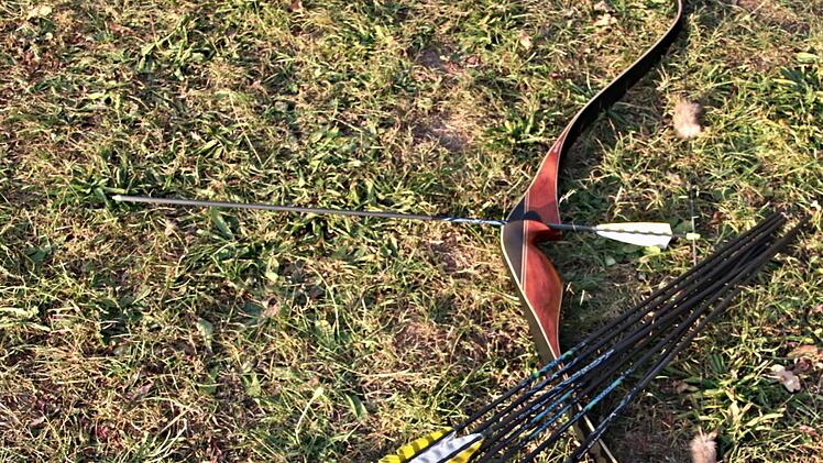 Bereit gelegt zum Schuss. Bogen und Pfeile. Helmut Will