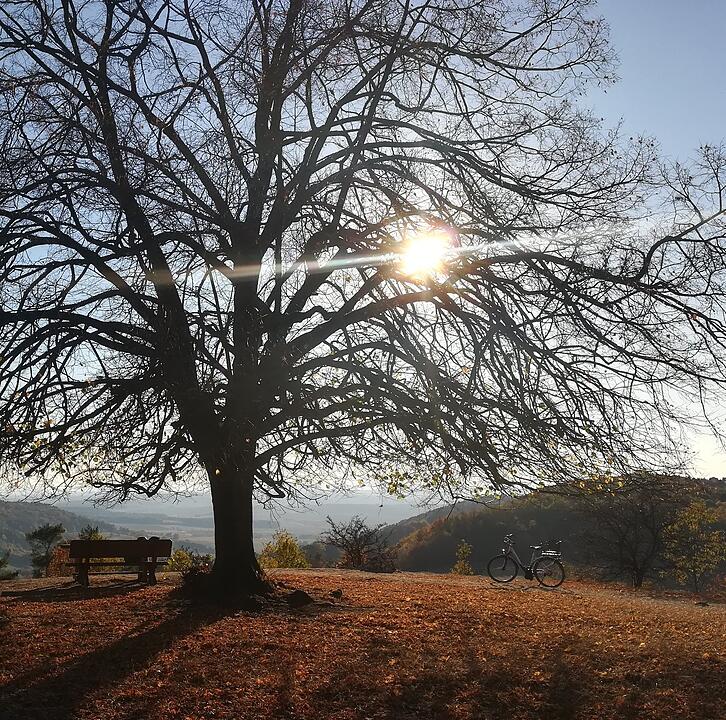 Die schönsten Fotos im Herbst aus Lichtenfels und Umgebung
