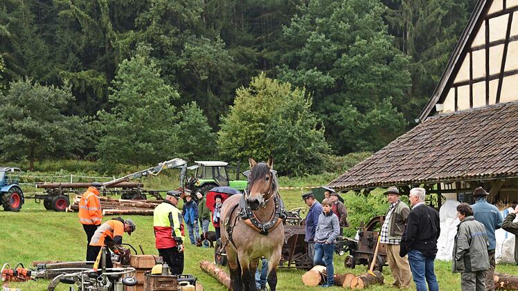 Holzverarbeitung früher und heute stand diesmal im Fokus des Museumsfestes der Alten Schäferei in Ahorn. Foto: Gabi Arnold