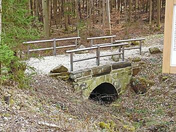 Hingucker: die krumme Brücke im Trieber Wald Foto: Günter Reinlein