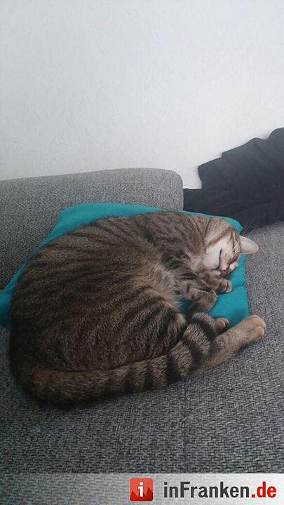 Foto: Brigitte Dimpel